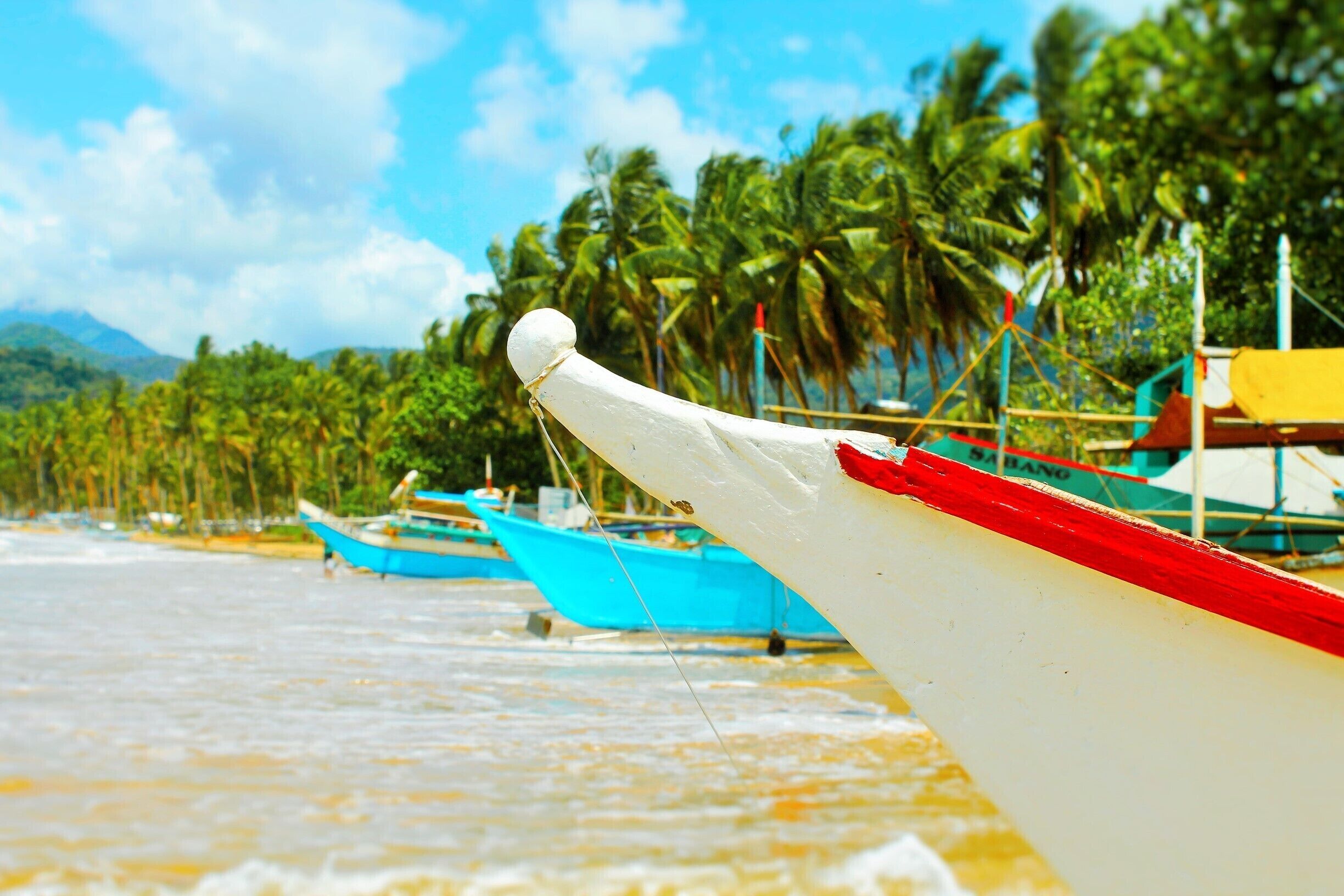 Head to Sabang to hop on one of these guys to head into the underground river, one of the natural 7 wonders of the world. 

Filipinos name almost all modes of transportation giving their canoes, busses, tricycles and jeepneys their own name to go by. We rode on Janet's, Hectors, and Ryans throughout the islands. #beach