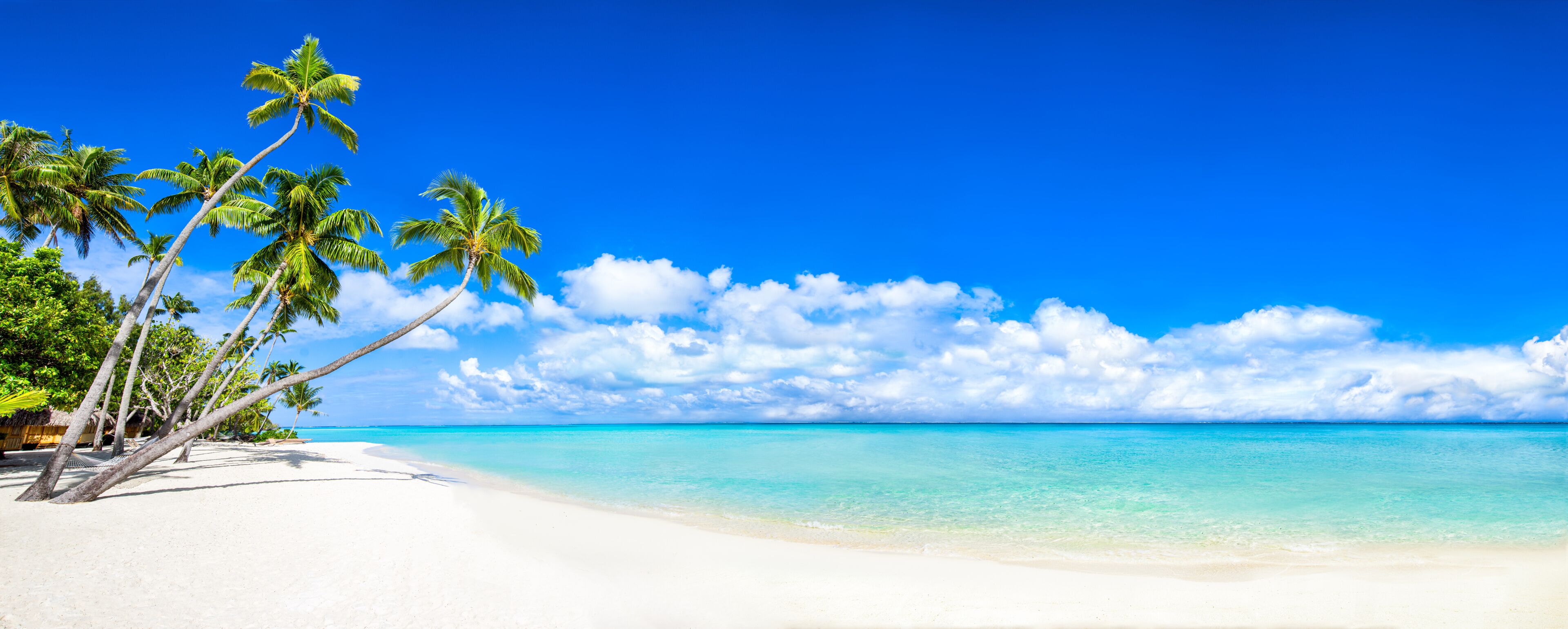 A beach with white sand, palm trees, and a clear blue sky.