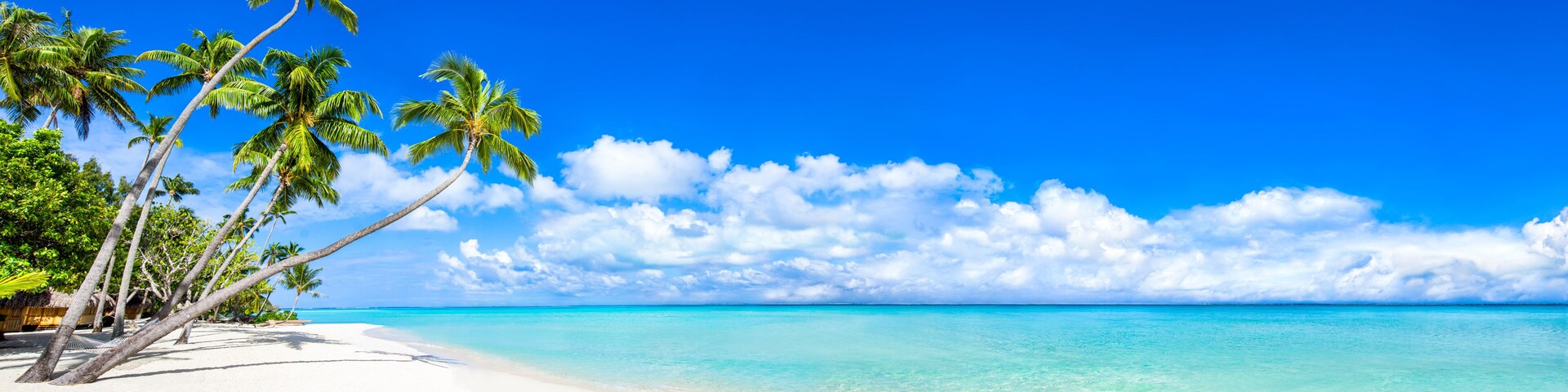 Una playa de arena blanca, palmeras y cielo azul despejado.