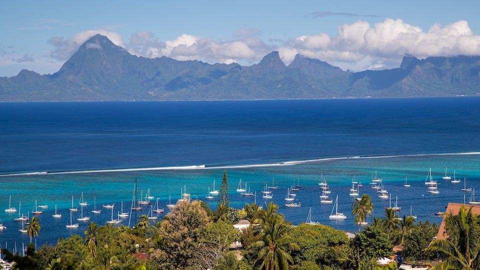 A coastal view with a clear blue sea, numerous sailboats, and a mountain range in the background.