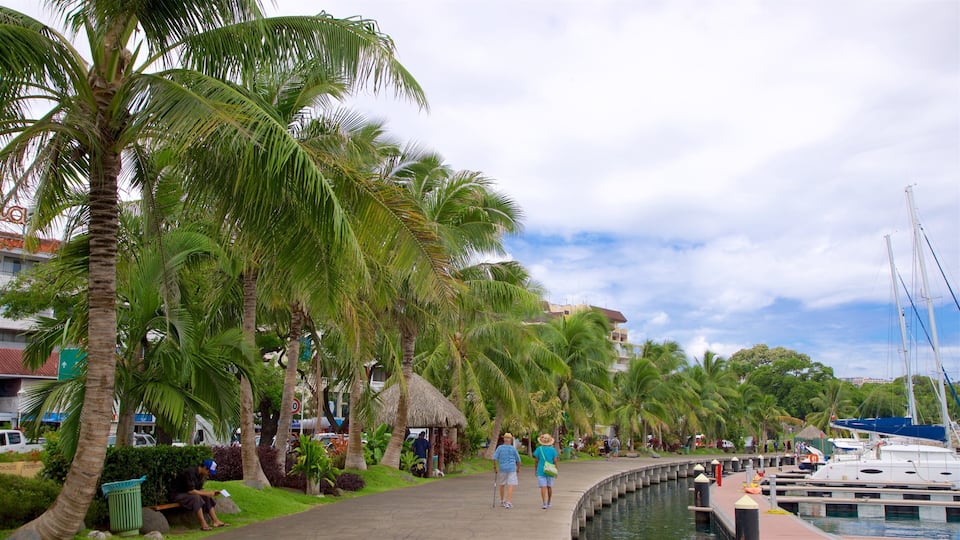 A waterfront promenade lined with palm trees and a marina with boats.