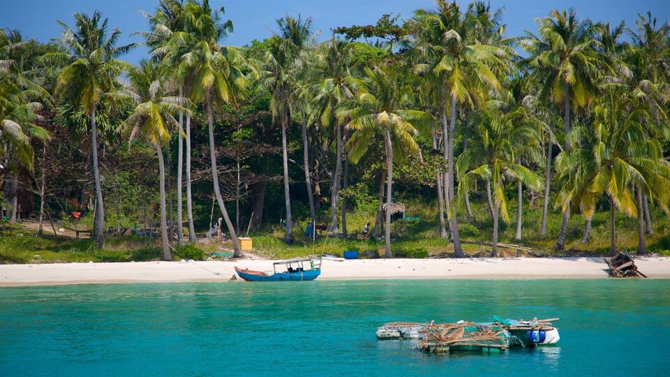 A beach with palm trees, a boat, and a sandy shore.