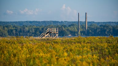 Marsh Observation Structure at Presque Isle