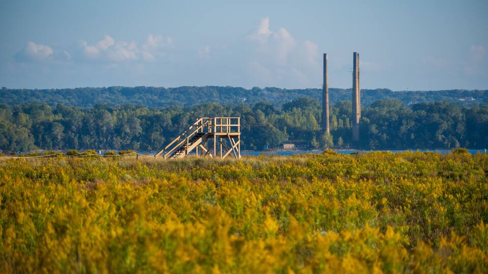 A coastal landscape with a wooden structure, tall chimneys, and dense greenery.