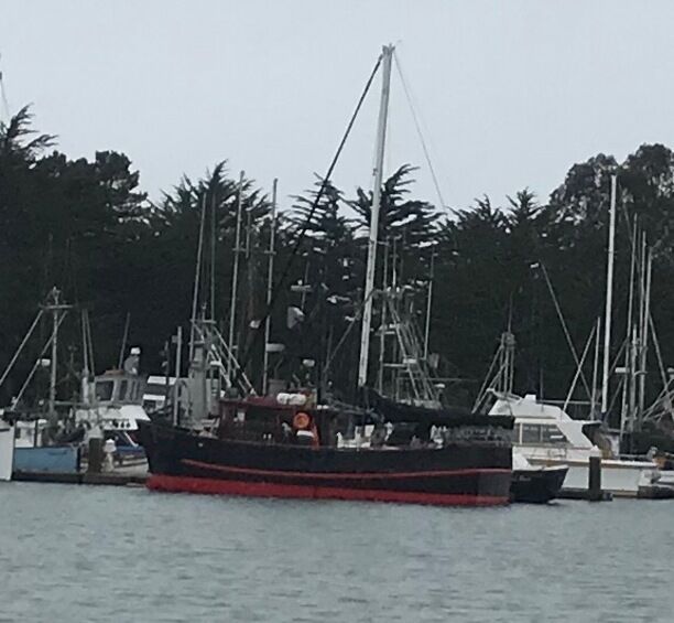 Beautiful harbor I liked this black and red trimmed ship