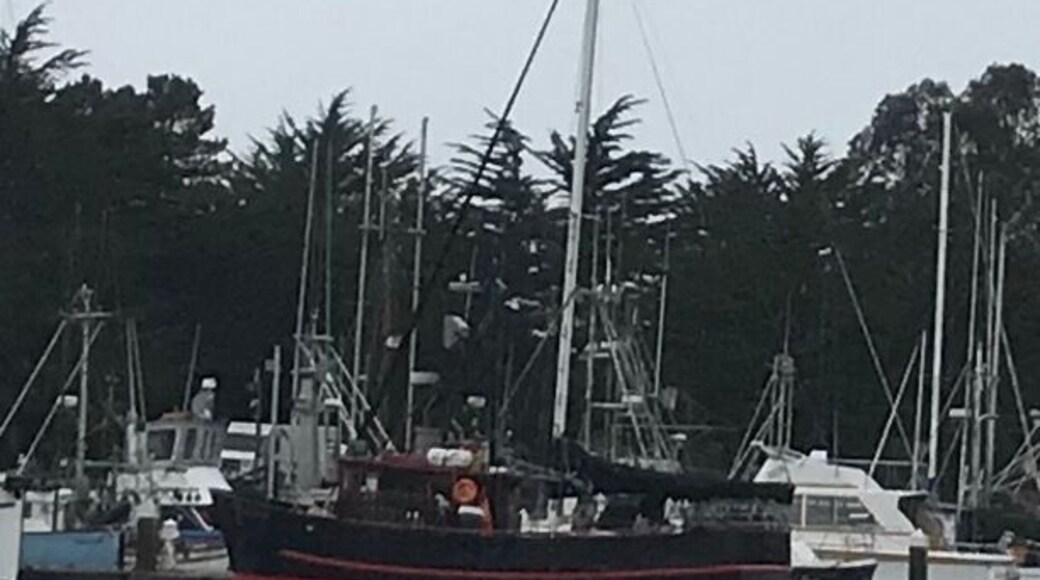 Beautiful harbor I liked this black and red trimmed ship