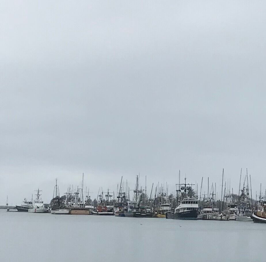 A boat version of an #UrbanJungle