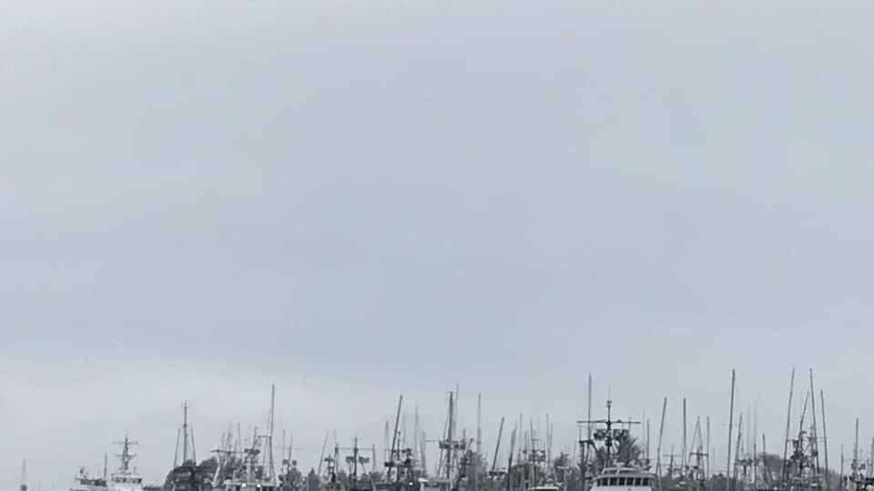 A boat version of an #UrbanJungle