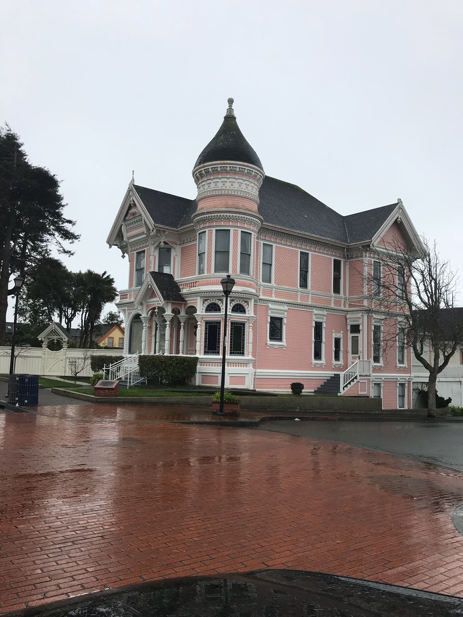 An exemplary painted lady.  Lots more all around this extreme NorCal locale.