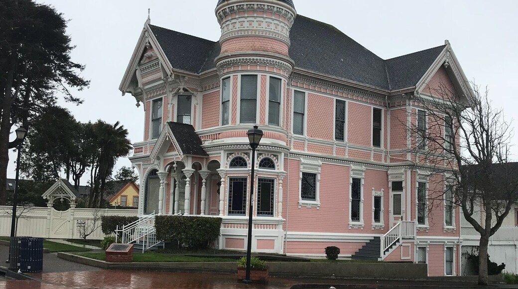 An exemplary painted lady. Lots more all around this extreme NorCal locale.