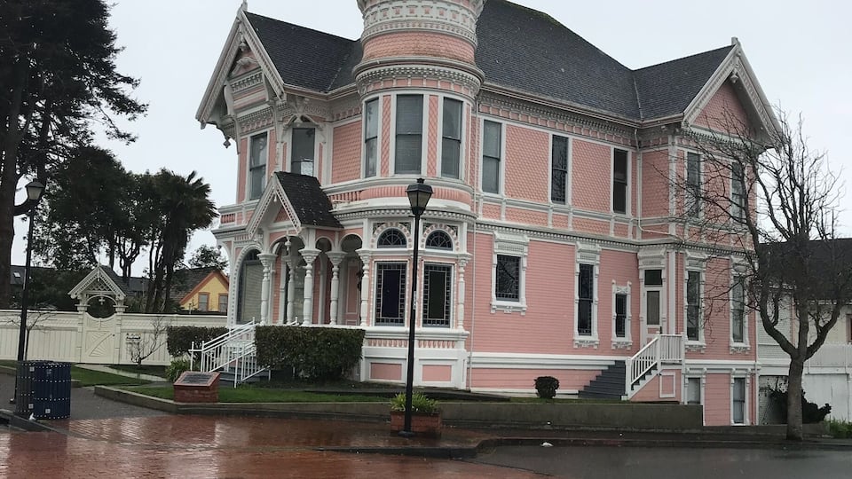 An exemplary painted lady. Lots more all around this extreme NorCal locale.