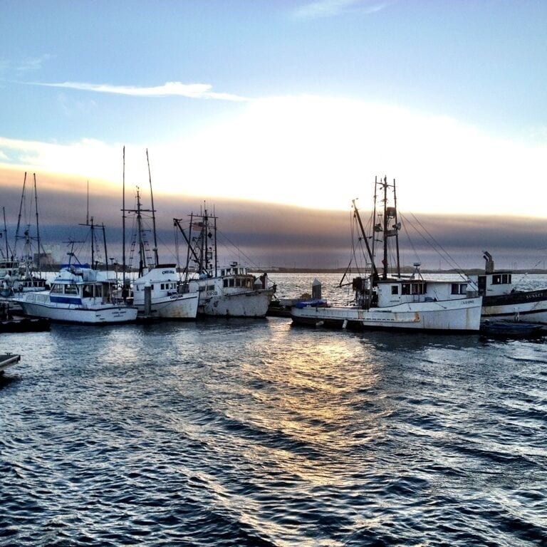 A harbor with several fishing boats docked at sunset.