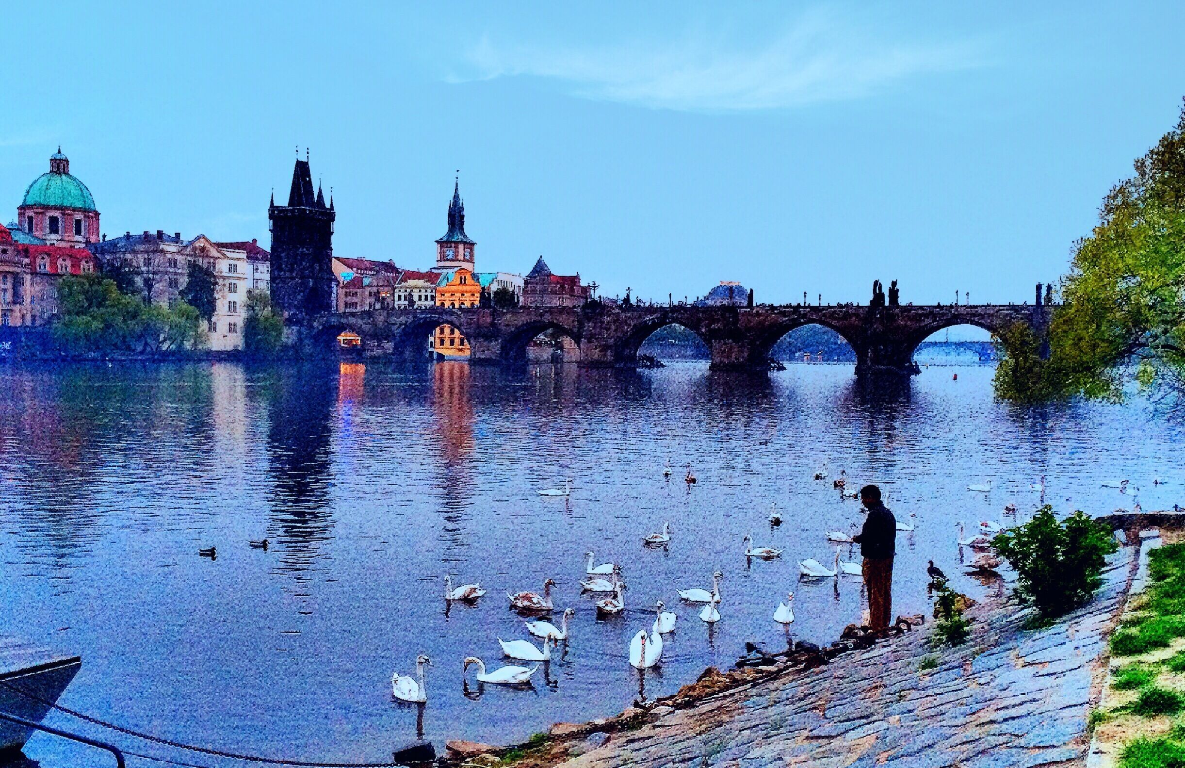 Un puente histórico sobre un río, con cisnes y una persona de pie en la orilla.