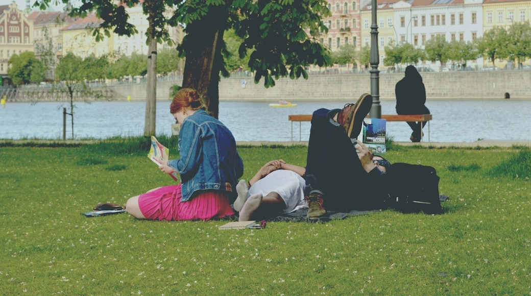 Park-island full of green and happy people!