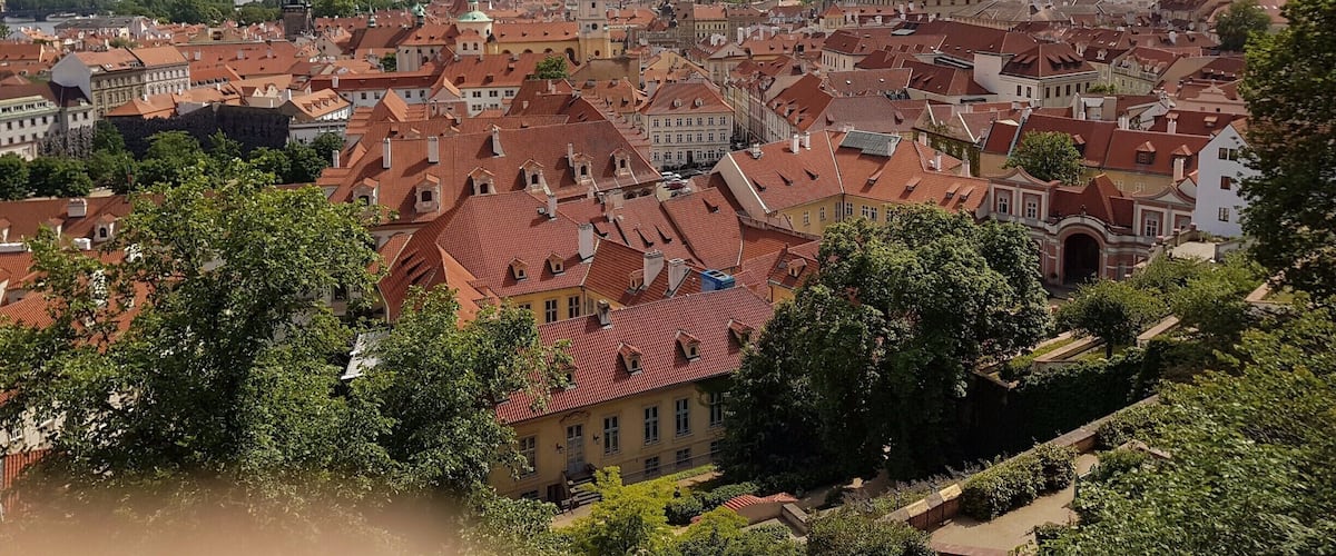 view from Top of the palace !