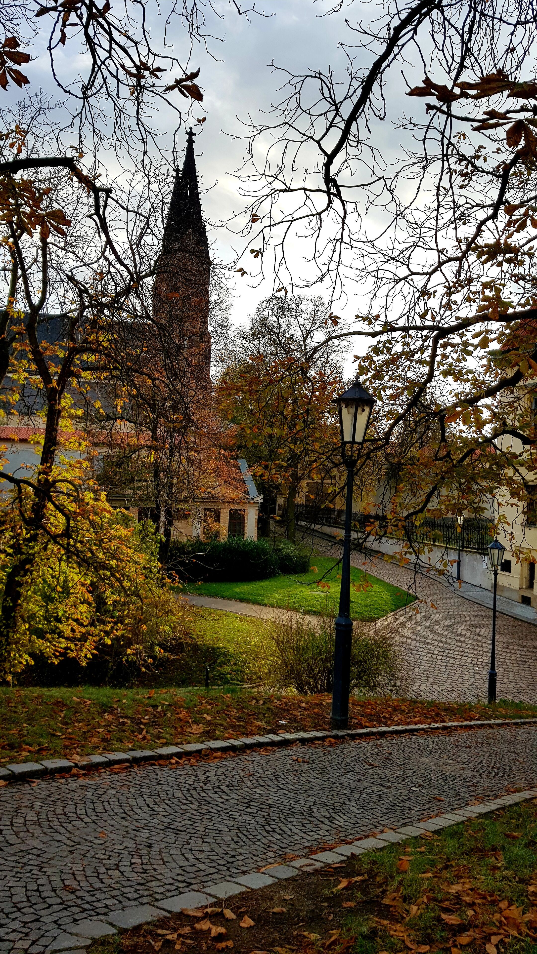 A cobblestone pathway, a church with a tall spire, and autumn foliage.