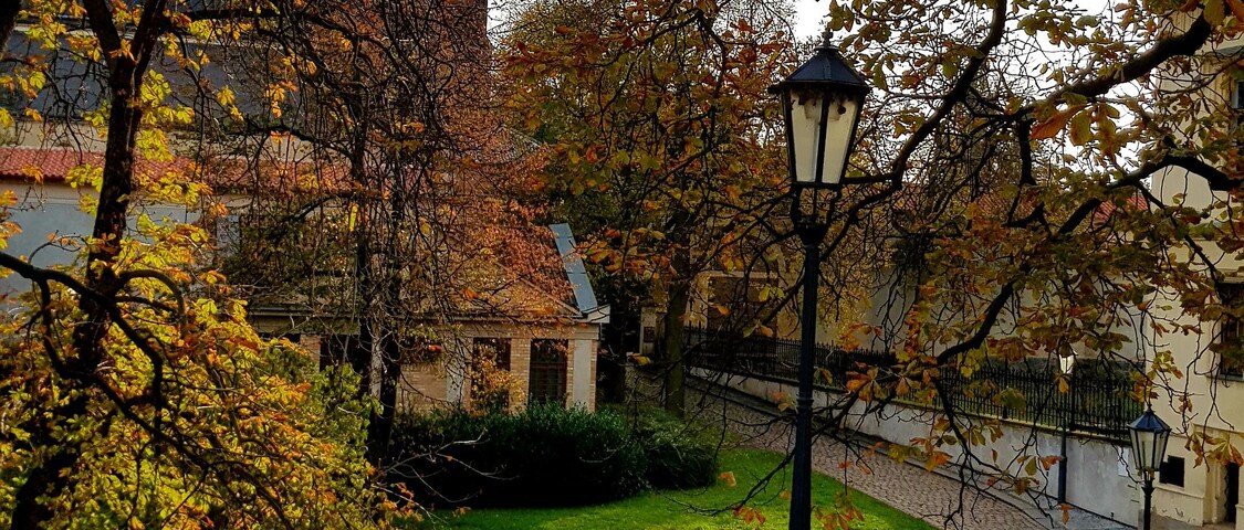 A cobblestone pathway, a church with a tall spire, and autumn foliage.