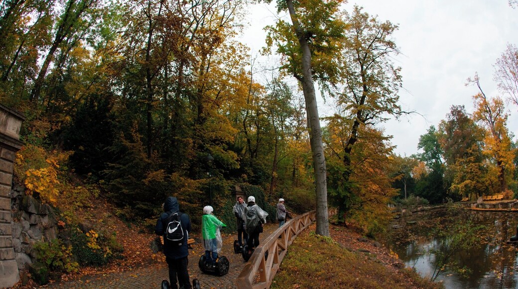 If you have time take segway tour it's fun way to explore city.Tour cost about 50euros for about 3/4hours with guide.