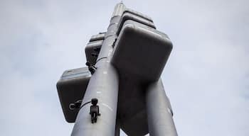 Černy's "Babies" - babies crawling up one of the world's