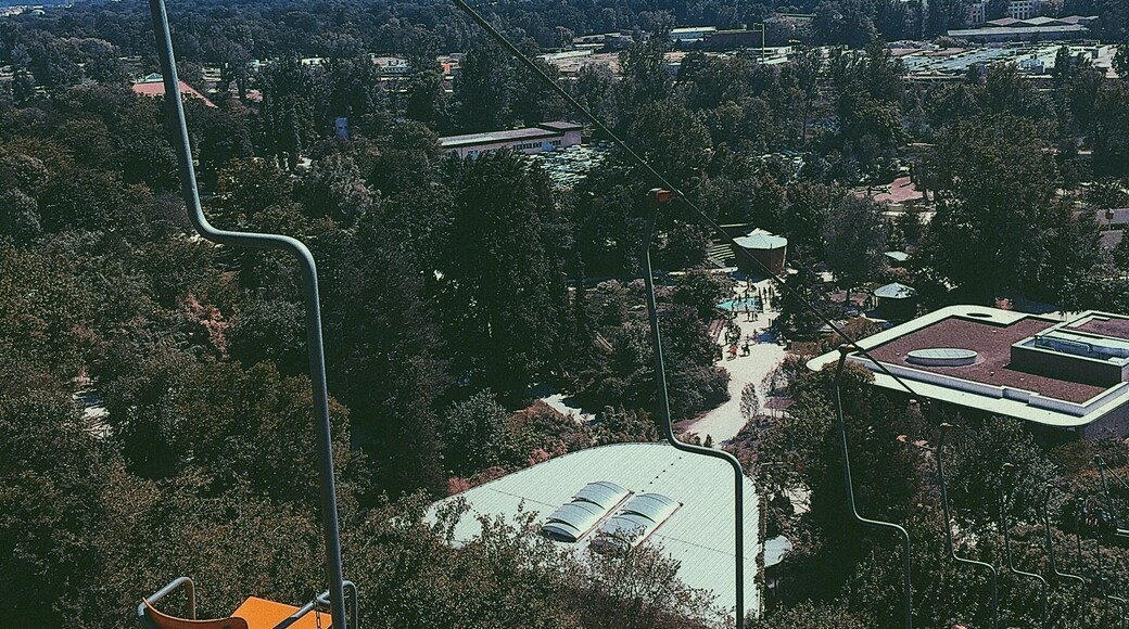 Heading to the top of Prague zoo, one of the biggest ones in Europe! And it’s a long way up 😅