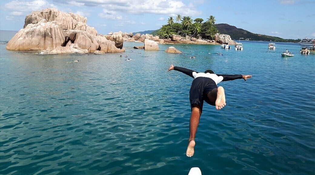 Secluded beaches, excellent snorkelling, ancient tortoises and the most colourful birdlife, a nut that looks like a butt (really, google 'coco de mer'), exotic rum cocktails - want all this and more? Then Praslin, the second largest island in The Seychelles is your best bet. #beachtips #seychelles