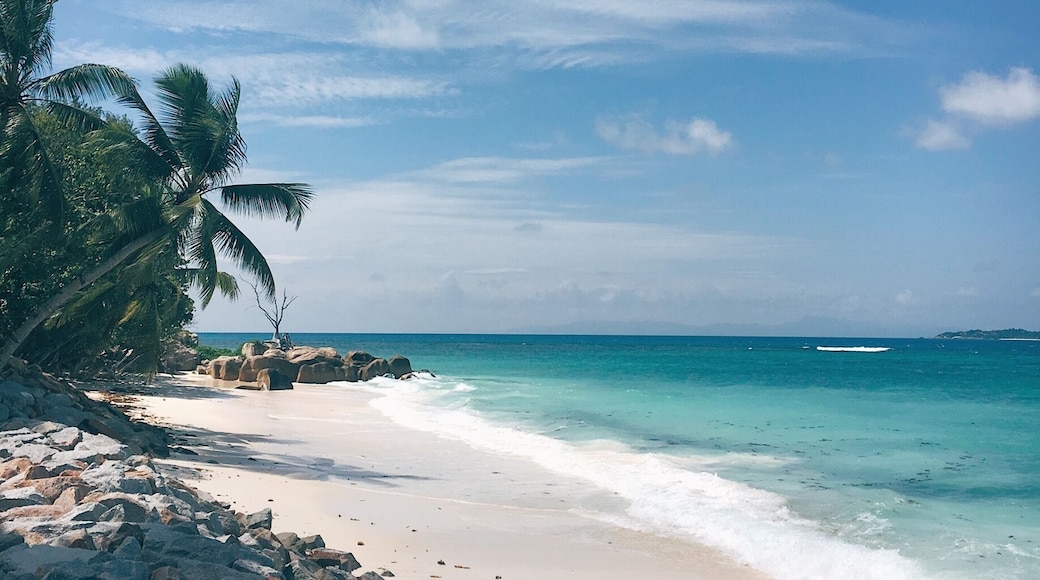 Praslin, the second largest island in Seychelles can be reached via a short domestic flight from Seychelles International Airport or a scenic catamaran ride from the jetty - both in Mahè.
No matter which direction you look or corner you turn, you would find palm-fringed, pristine beaches with the clearest and bluest of waters.
Anse Volbert (Côte D’ Or), Anse Lazio and Anse Georgette are the most frequented beaches and though the popular ones, can still be serene and uncrowded.
#TroveOn
#Seychelles
#Praslin
#TroverTips