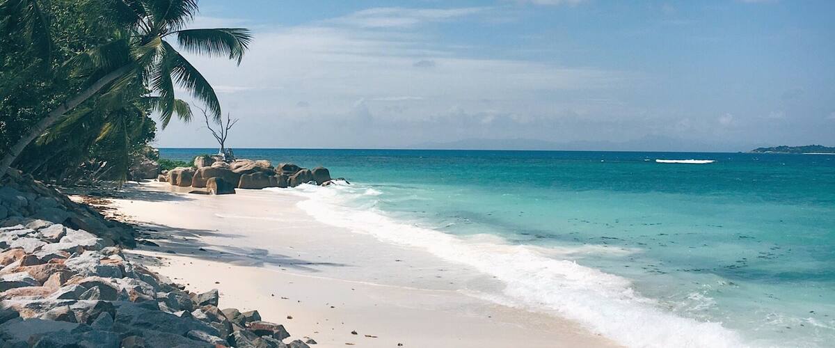 Praslin, the second largest island in Seychelles can be reached via a short domestic flight from Seychelles International Airport or a scenic catamaran ride from the jetty - both in Mahè.
No matter which direction you look or corner you turn, you would find palm-fringed, pristine beaches with the clearest and bluest of waters.
Anse Volbert (Côte D’ Or), Anse Lazio and Anse Georgette are the most frequented beaches and though the popular ones, can still be serene and uncrowded.
#TroveOn
#Seychelles
#Praslin
#TroverTips