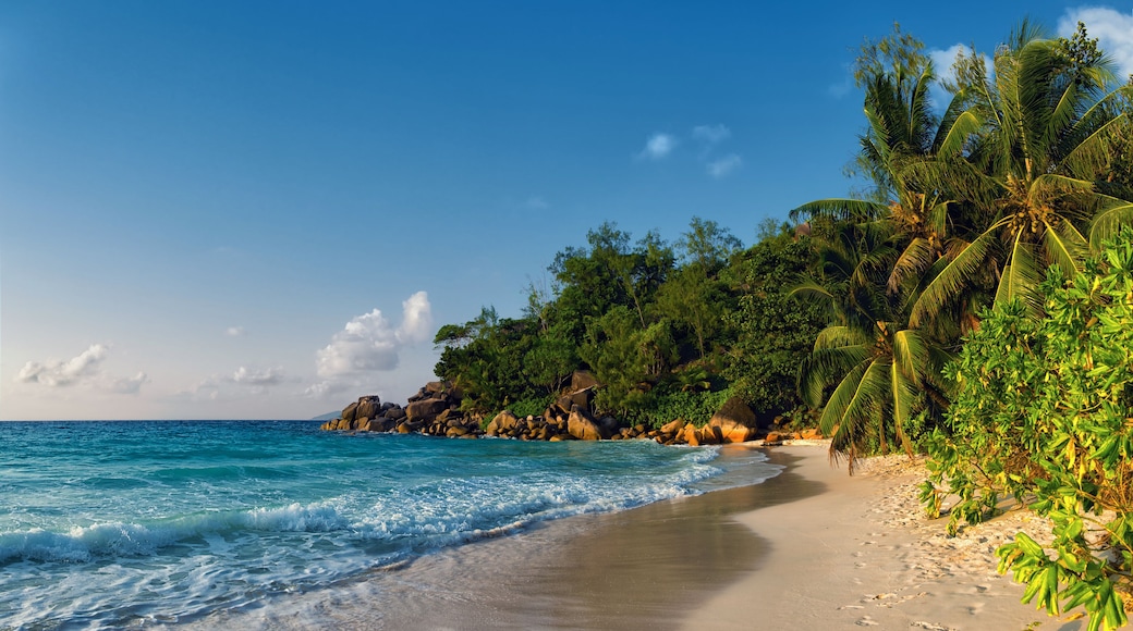 anse georgette beach in seychelles praslin island