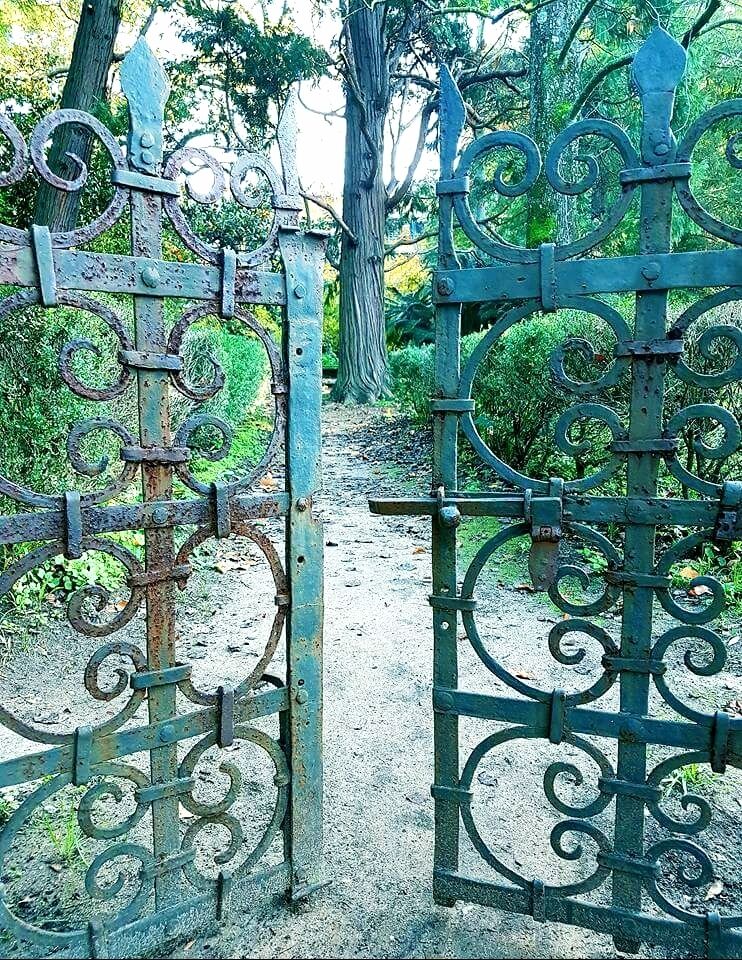 Shades of #Green in Pisa