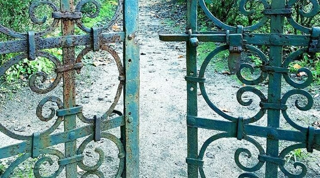 Shades of #Green in Pisa