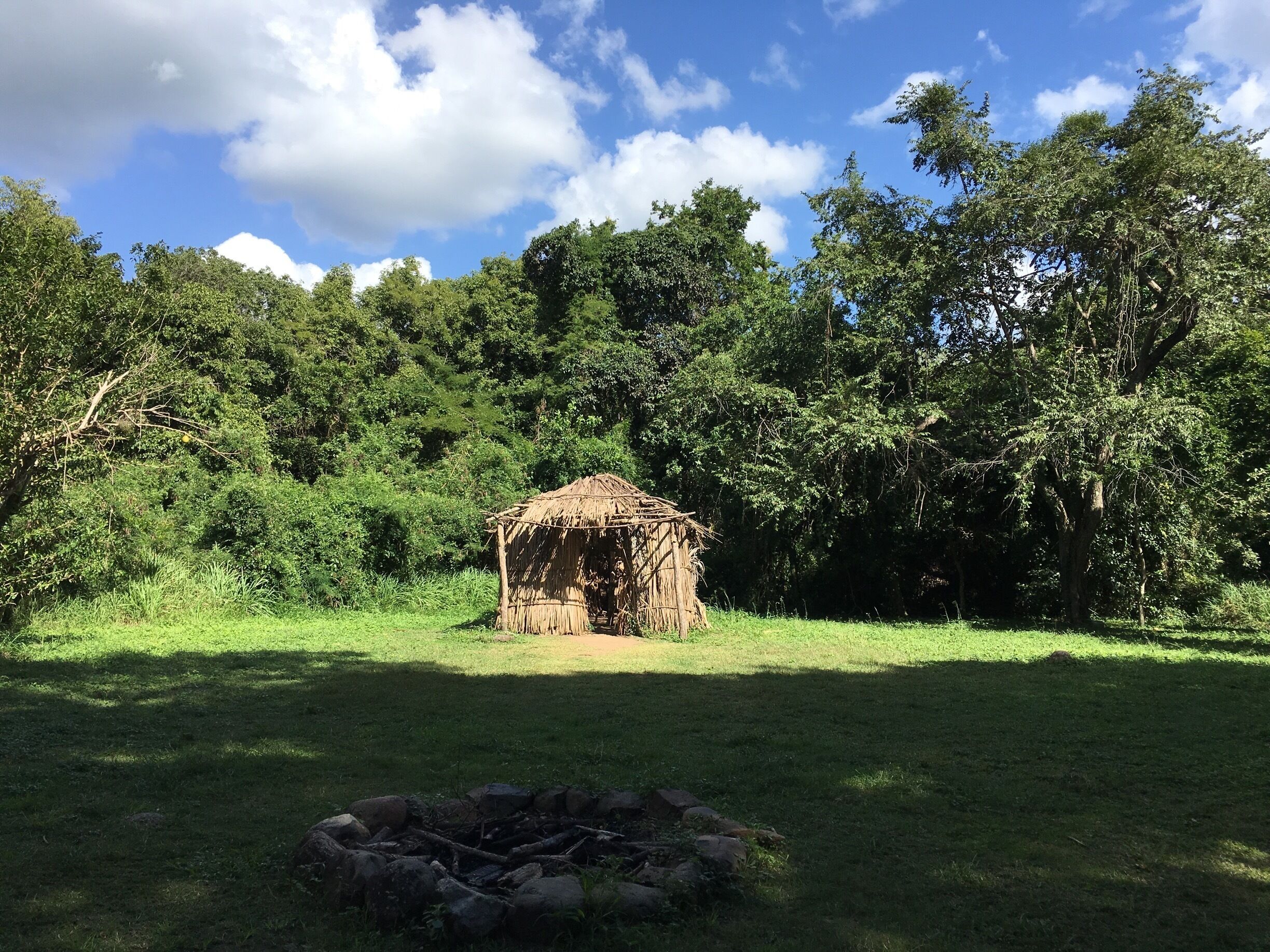 A thatched hut in a grassy field with a stone fire pit in the foreground, surrounded by dense trees and a partly cloudy sky.