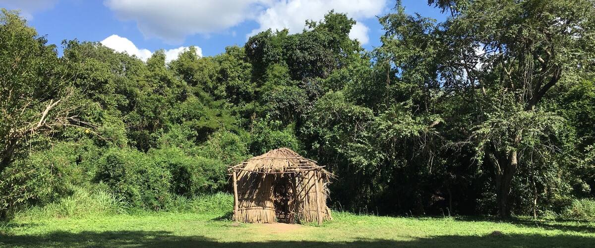 A thatched hut in a grassy field with a stone fire pit in the foreground, surrounded by dense trees and a partly cloudy sky.