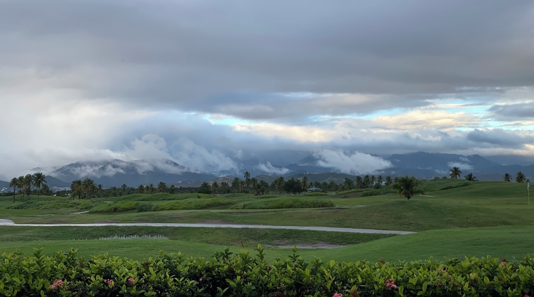I think this was the Trump Golf course before Hurricane María 😆