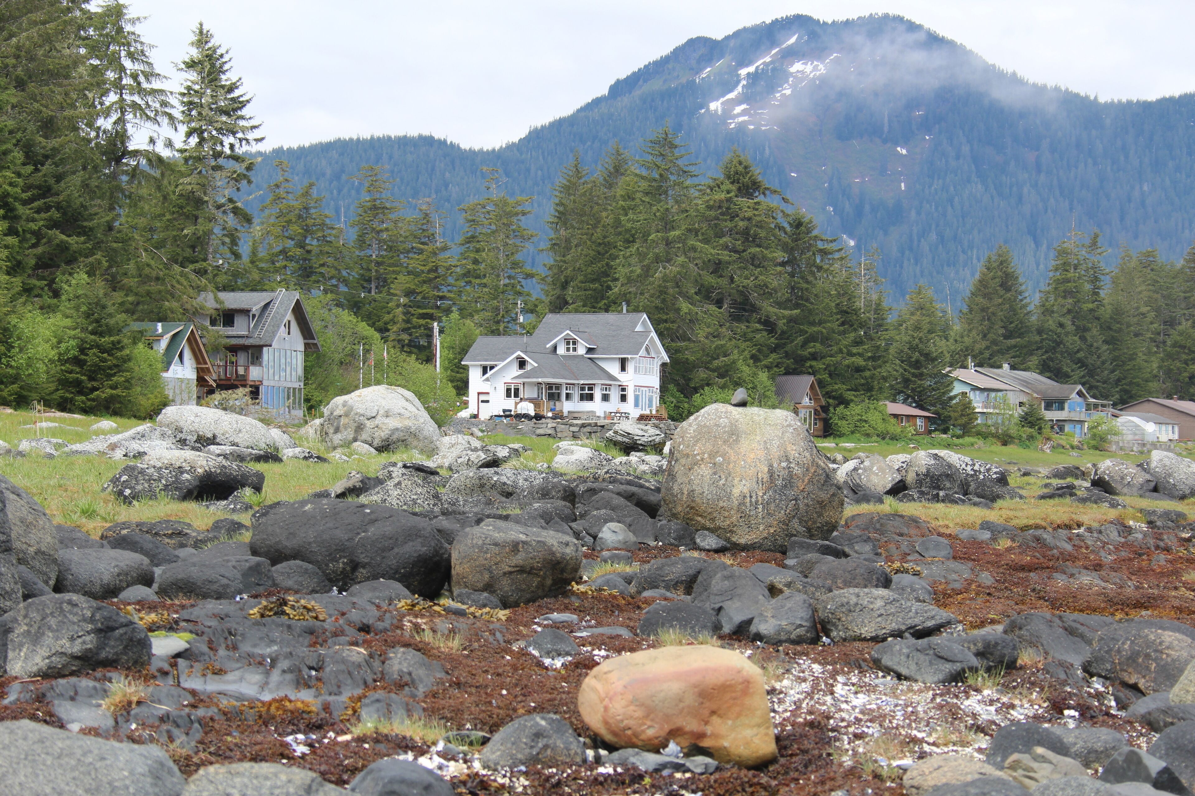 Waterfront Homes at Petersburg Alaska