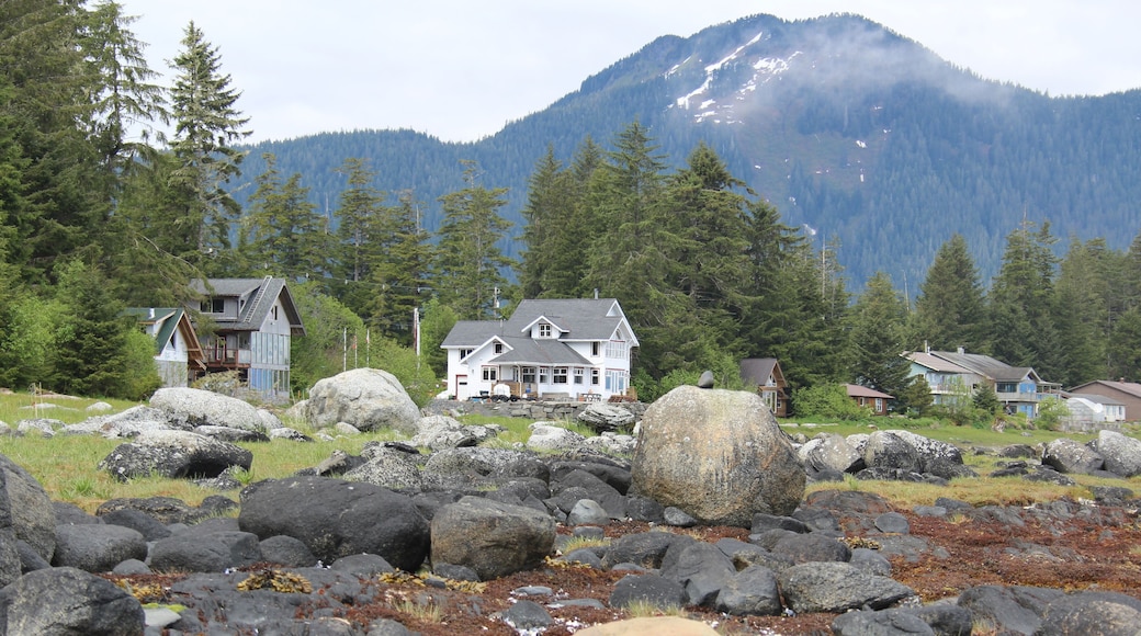 Waterfront Homes at Petersburg Alaska
