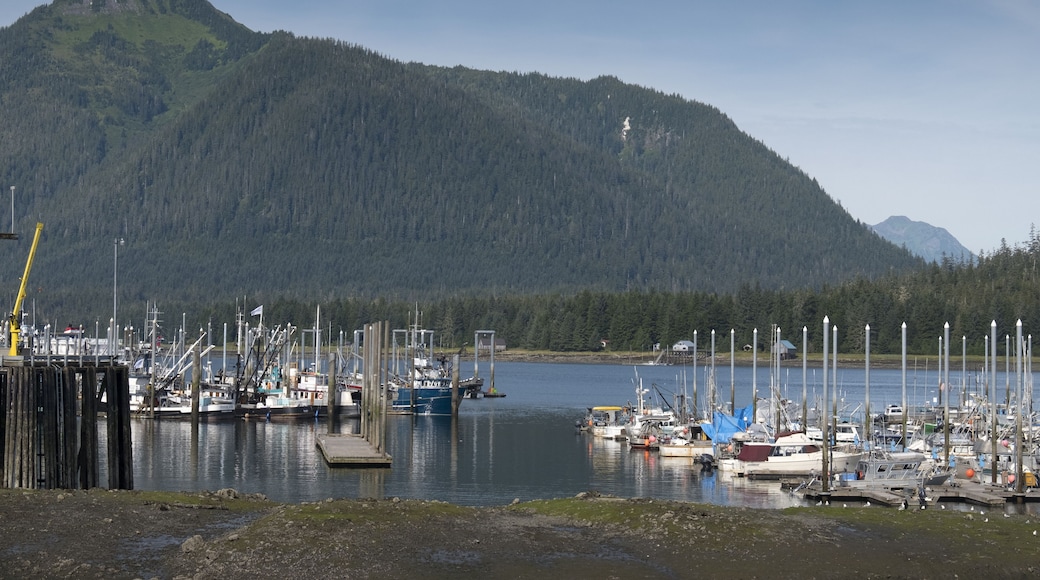 Overview of Harbor, Petersburg, Alaska