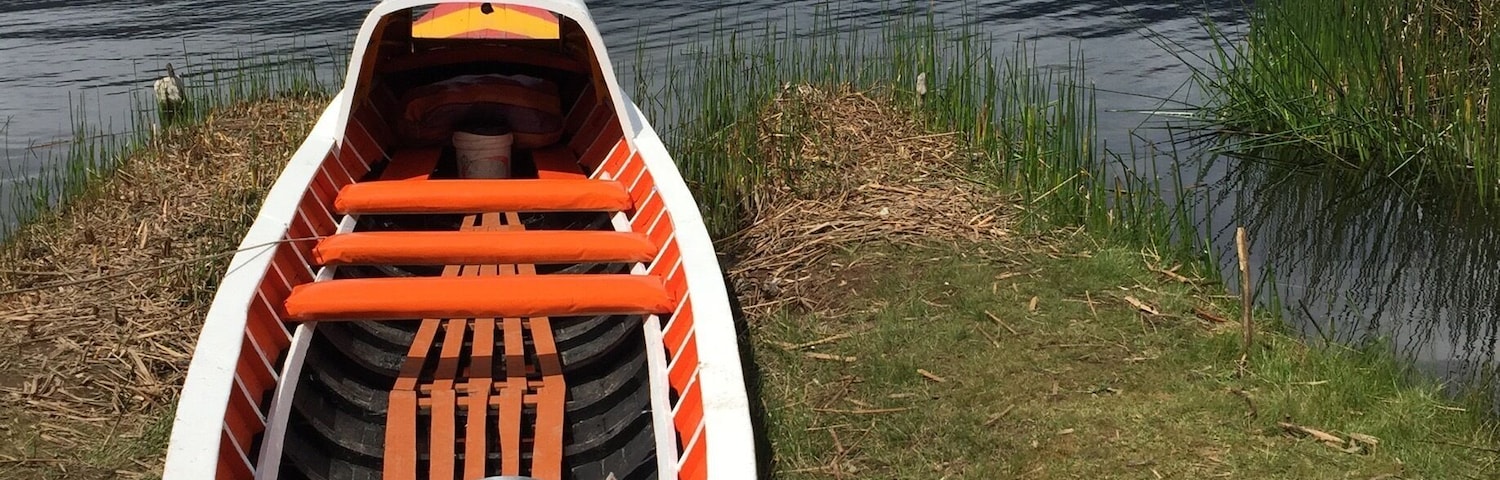 Colores y más colores