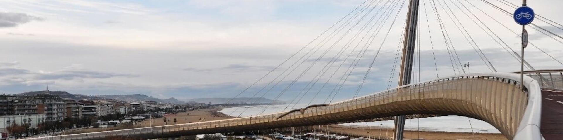 Un puente atirantado con una pasarela curva sobre un cuerpo de agua, con edificios y barcos al fondo.