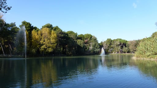 Laghetto del Parco della Pineta