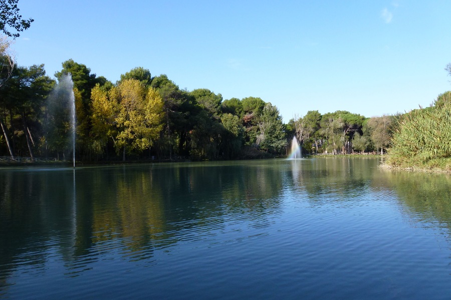 Laghetto del Parco della Pineta
