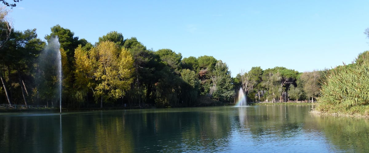 A calm lake with two fountains, surrounded by dense trees and clear blue sky.