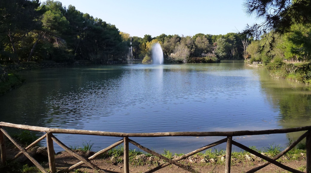 Lago del Parco della Pineta