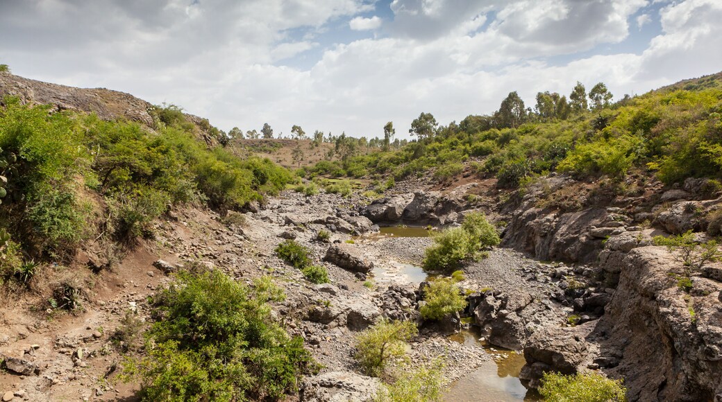 Entoto chain mountains and Jemma Valley in Oromo Region of Ethiopia