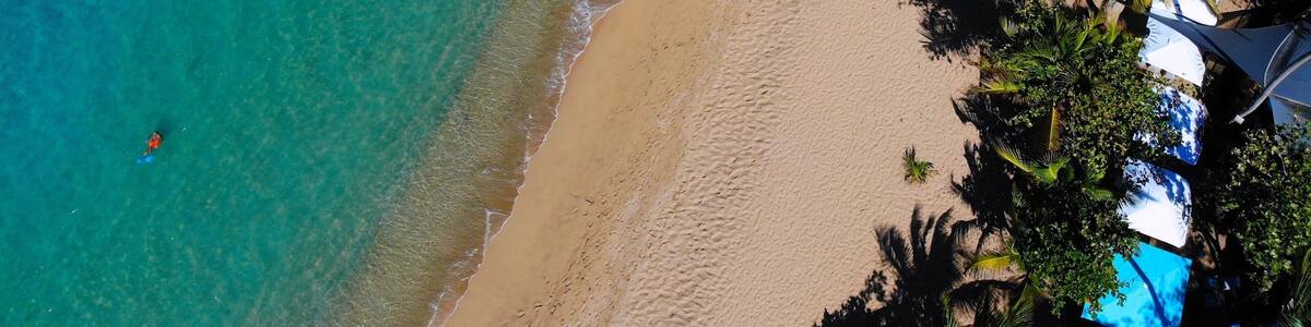 A beach with clear turquoise water, a sandy shore, and palm trees.