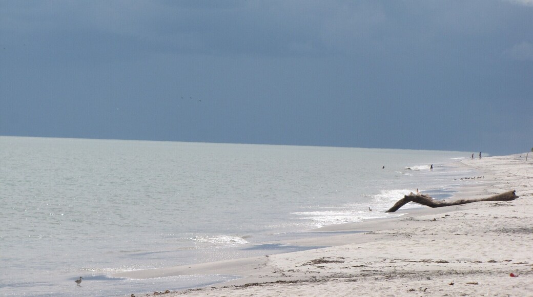 This great beach is not far from the Royal Decameron Panama - and it is usually deserted!