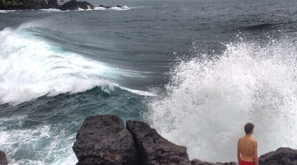 Mamey Island near Portobelo, Panama. Private island that requires you take a boat ride past islands full of monkeys to visit it. The water is so clear here, but be careful of the riptides if you swim out too far. #waterlust
