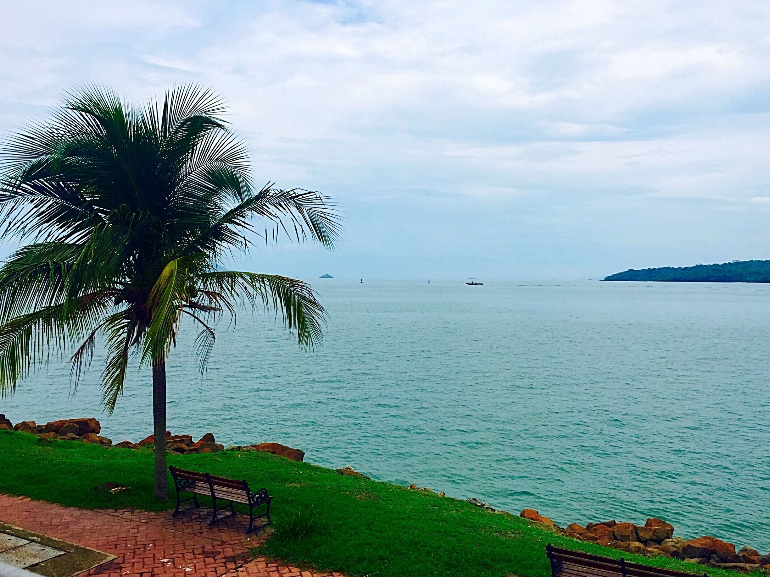 Islands and green every- off Flamenco, Panama 