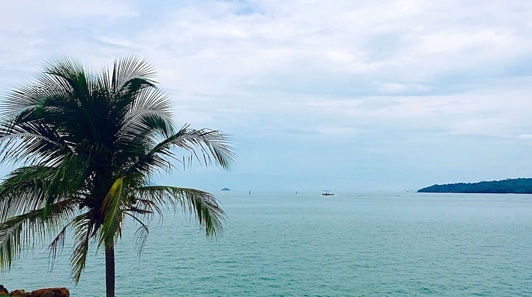 Islands and green every- off Flamenco, Panama
