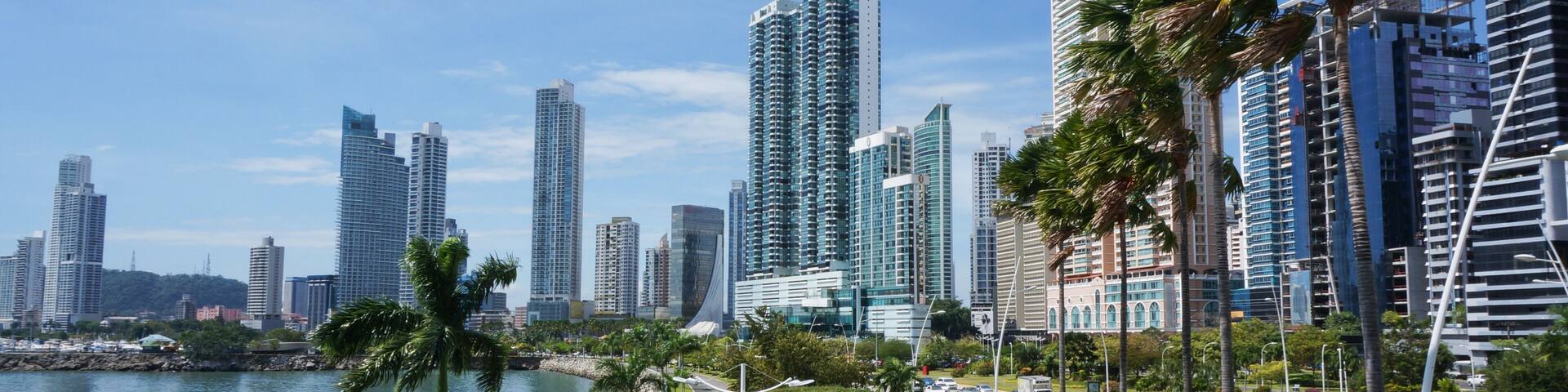 A city skyline with tall buildings, a river, and palm trees along a road.