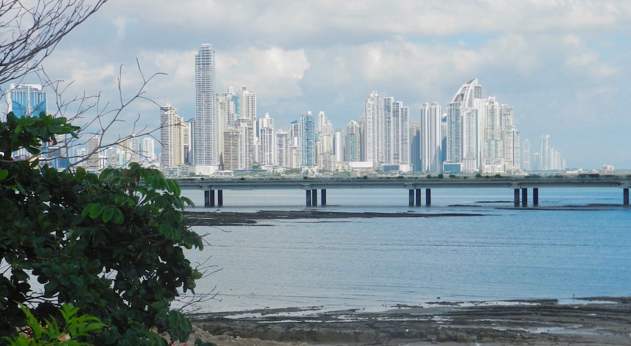 Panama City has two distinct sides - one is the historic old town, and the other side seen here is looking toward the future.  #UrbanJungle